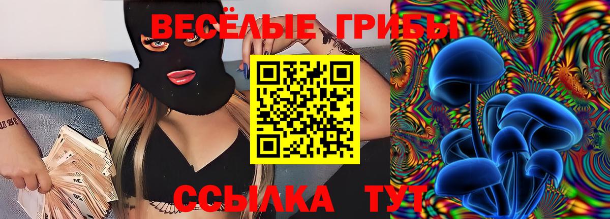 купить закладку  Вход с VPN  Муром  Псилоцибиновые грибы Cubensis 