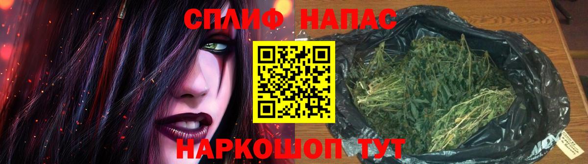 Бошки Шишки MAZAR Муром